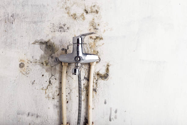 Best Mold Cleaning Services  in Sanford, CO